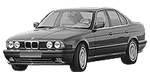 BMW E34 P1006 Fault Code